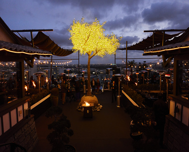 Dine Under the Stars : Best Valentine's ...