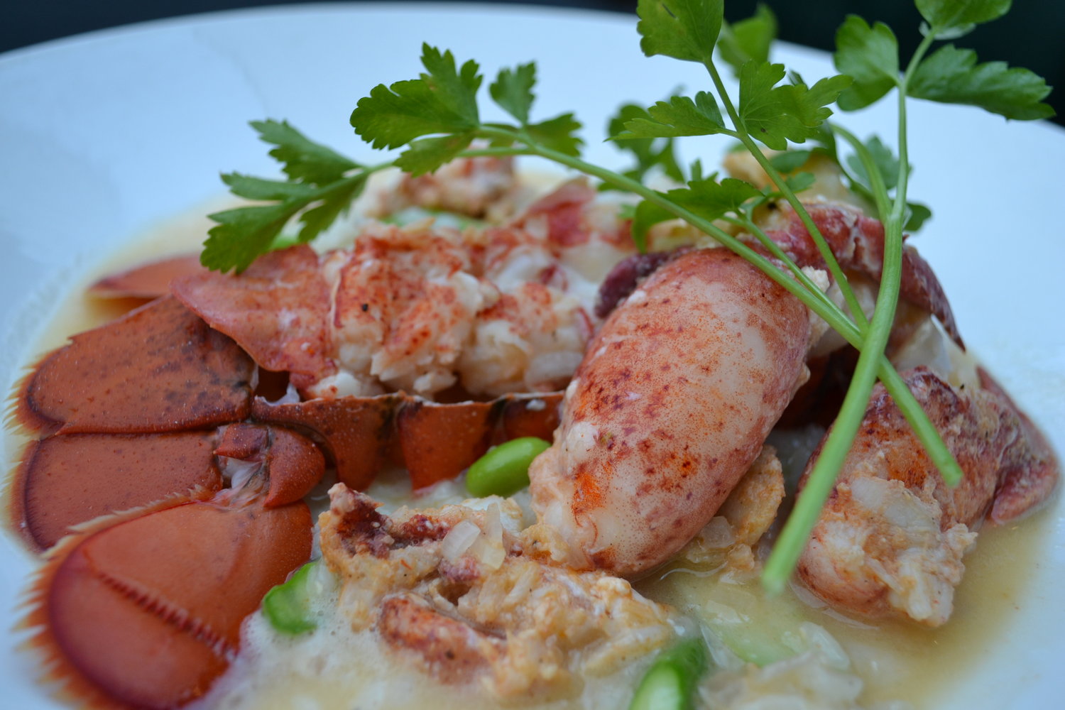 FEATURE: SEAFOOD RISOTTO
